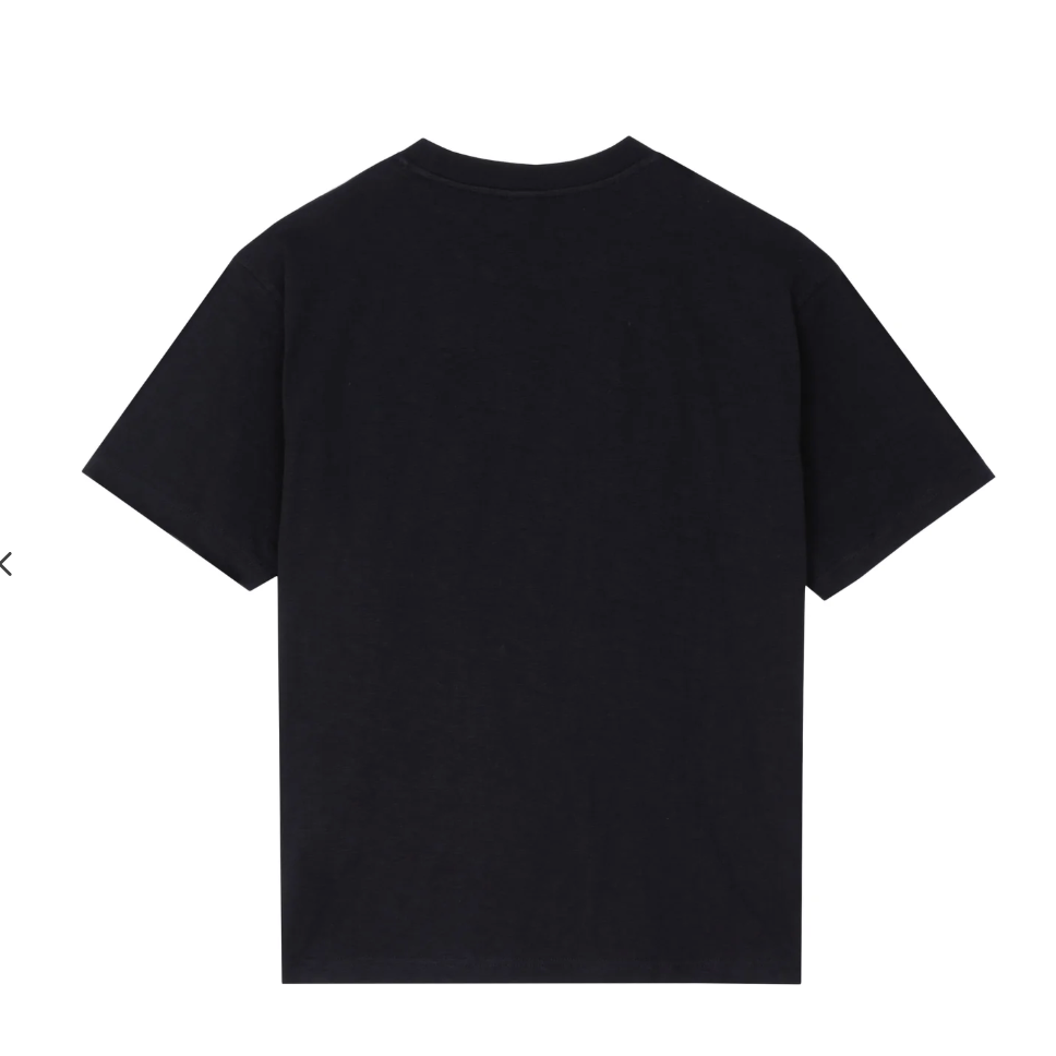 Camiseta Staple Gothic Pigeon Preto